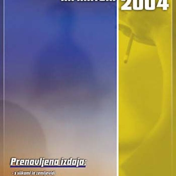 Zgodovina na maturi 2004